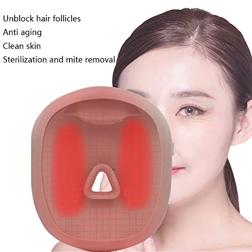 ZHDQ Vapor Facial Sauna SPA Facial Vaporizador de Cara Humidificador Nano-Ionico Portátil Cuidado Facial Herramientas para La Hidratación de La Piel