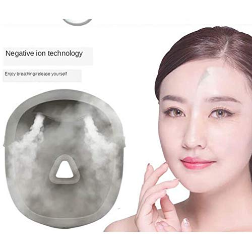 ZHDQ Vaporizador Facial Nano Iónico Spray de Agua Vapor Facial Dispositivo de Vapor para Limpieza Profunda, Cuidado de Piel para Salón de Belleza Y Hogar
