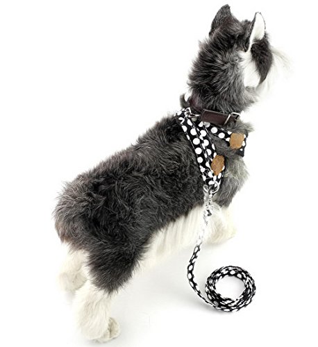 Zunea Nylon Soft Mesh Transpirable Mascota Cachorro Pequeño Perro Gato Chaleco Arnés y Correa Set Leads Ajustable No Pull Walking Control Negro S