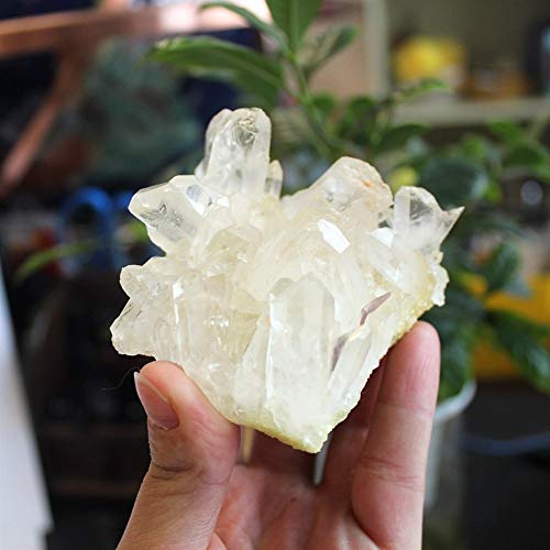 ZZLLFF 2 Piezas de curación de Cristal Blanco Natural de Cristal Cluster esquelético del Punto del Cuarzo Varita Mineral drusa Vug Espécimen D3 Natural Piedra (Size : 20g)
