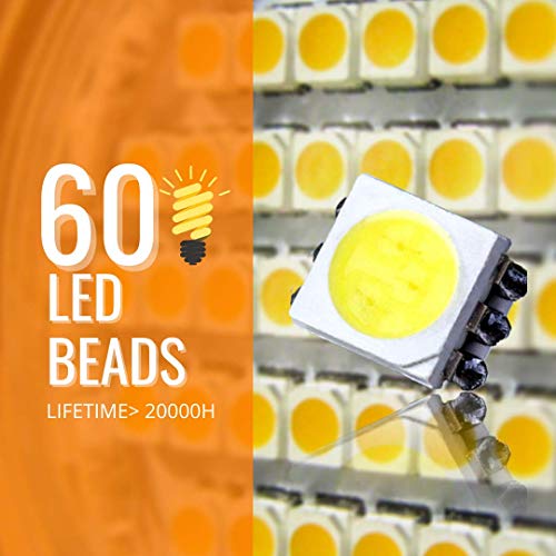 10000 Lux LED Luz Lámpara con Temporizador, 20 Niveles de Brillo libres de UV, Adaptador y Soporte Plegable Incluido, Lámpara de la Luz del Sol para el Invierno - Lichtopia Lite