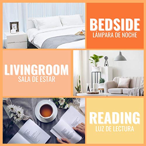 10000 Lux LED Luz Lámpara con Temporizador, 20 Niveles de Brillo libres de UV, Adaptador y Soporte Plegable Incluido, Lámpara de la Luz del Sol para el Invierno - Lichtopia Lite