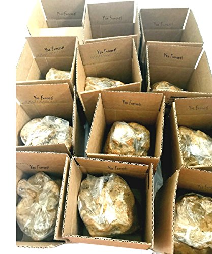 2 kg Negro Africano jabón reino unido al por mayor Ghana jabón escuela negro jabón disponible en 5 kg 25 kg y 100 kg