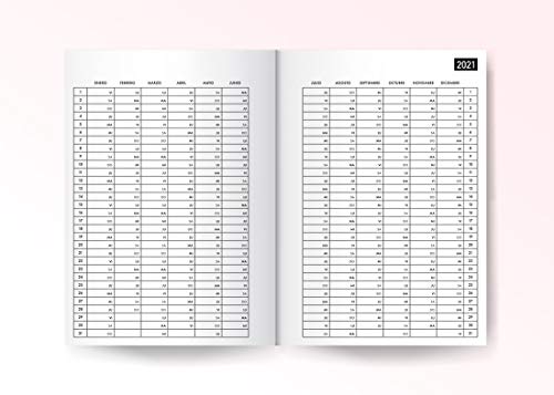 2020 2021: Agenda 2020 2021 Día por Página 18 Meses - Organiza tu día - Julio 2020 a Diciembre 2021 - Tamaño 15x21cm - Din A5 - Rosa - Azul