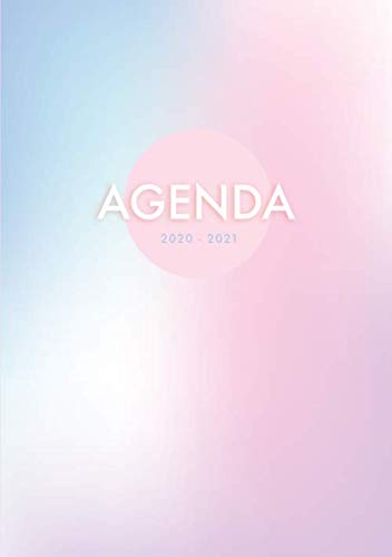 2020 2021: Agenda 2020 2021 Día por Página 18 Meses - Organiza tu día - Julio 2020 a Diciembre 2021 - Tamaño 15x21cm - Din A5 - Rosa - Azul