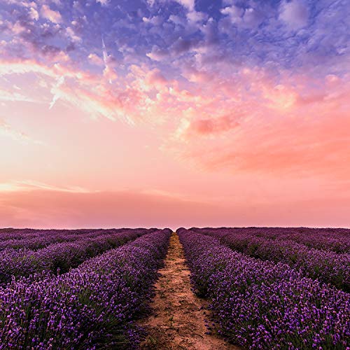 40 Relaxing Ambient Sounds fot the Ultimate Concentration and Focus