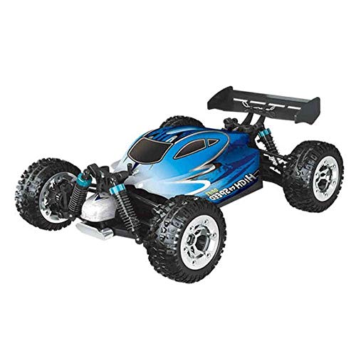 55km / H violento rápido de control remoto de coches de alta velocidad de campo a través de vehículos de juguete for adultos de coches RC Profesional regalo de carreras de coches Hermosa Dinámica de c