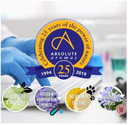 Absolute Aromas Aceite Esencial de Árbol de Té 100ml - Puro, natural, Sin diluir, Sin Crueldad Animal y Vegano - Para Aromaterapia, Difusores y Cuidado del Cutis, Pelo, Piel y Uñas (100ml)