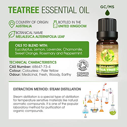 Aceite esencial de árbol de té australiano (Melaleuca alternifolia) con el certificado ecológico COSMOS, grado terapéutico para aromaterapia, con libro electrónico de Ecodrop de regalo, 10 ml