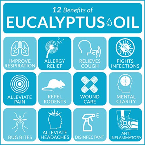 Aceite esencial de eucalipto ArtNaturals, aceite natural puro – Aromaterapia – 120 ml – con juego de regalo