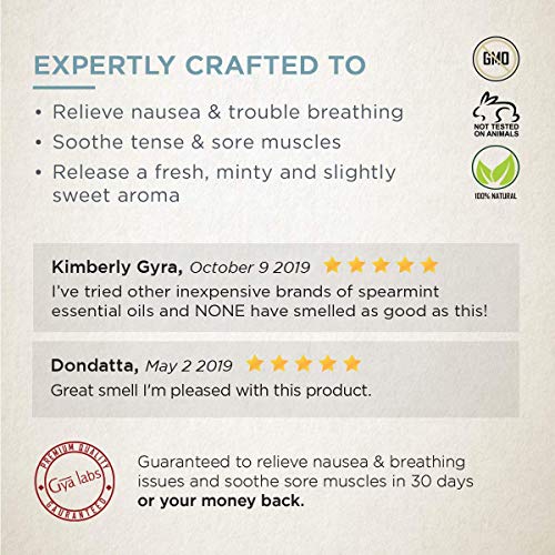 Aceite esencial de hierbabuena - Un soplo relajante de alivio y energía renovada (10 ml) - Aceite de hierbabuena 100% puro de grado terapéutico