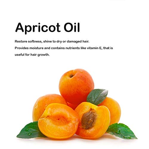 Aceite Orgánico de Nuez de Albaricoque 500 ml Prensado en Frío 100% Puro Vegetal Virgen Extra - Aceite Ecológico Seco Cabello y Corporal y Facial