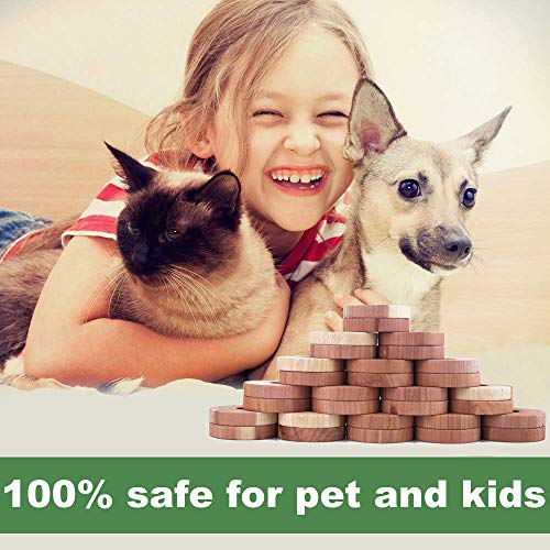 ACMETOP - Aromático Antipolillas Pelotas de Cedro, 100% Natural Repelente y Eliminador de Olores, Repeler Moho y Absorber Humedad, Para Armarios, Cajones, La cocina y Ropa [30 Piezas]