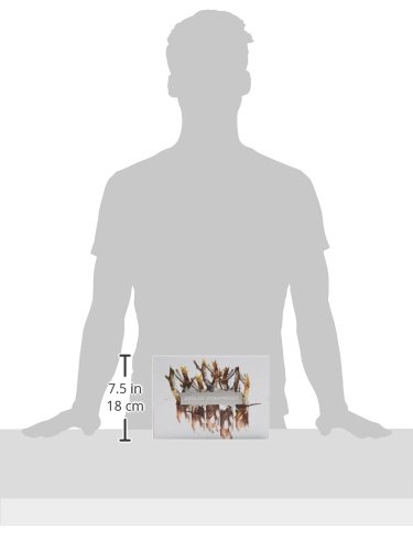 Adolfo Dominguez Agua Fresca - Paquete con 2 piezas: Eau de toilette 120 ml y Eau de toilette 30 ml