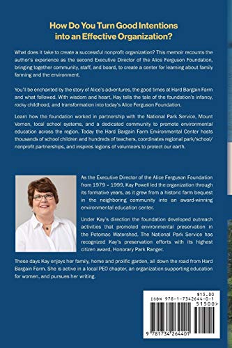 After Alice: Building a Foundation to Protect the Land