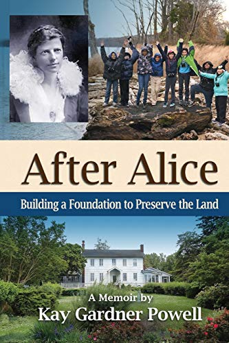 After Alice: Building a Foundation to Protect the Land