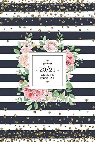 Agenda Escolar 2020 2021: Agenda semana vista 2020 2021 Planner Organizador semanal Planificador semanal vista Agendas, Calendario, Planificador mensual - agosto 2020 - julio 2021