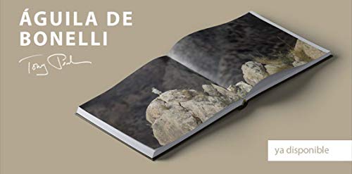 Águila de Bonelli, libro fotográfico monográfico del águila perdicera.
