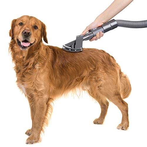 AIEVE Herramienta de Novio para aspiradora Dyson, Accesorio para Cepillo de Novio Animal y Perro Mascota para aspiradora Dyson V11 V10 V8 V7 V6 con Adaptador convertidor de liberación rápida