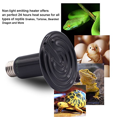 AIICIOO L¨¢mpara de Calefacci¨®n de CER¨¢Mica para Terrario No Hay Luz para la Tortuga/Serpiente/Drag¨®n Barbudo Bombilla Calor Reptiles (100w)