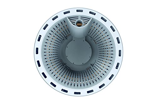 Airy Pot - innovadora Maceta purificadora de Aire 100% eficaz - Purificador de Aire Natural con Plantas de Interior sin Electricidad ni químicos (Space Blue)