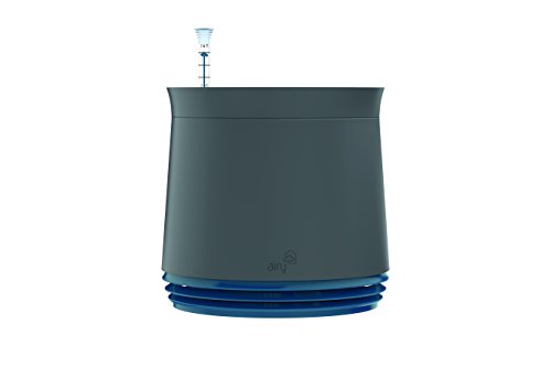 Airy Pot - innovadora Maceta purificadora de Aire 100% eficaz - Purificador de Aire Natural con Plantas de Interior sin Electricidad ni químicos (Space Blue)