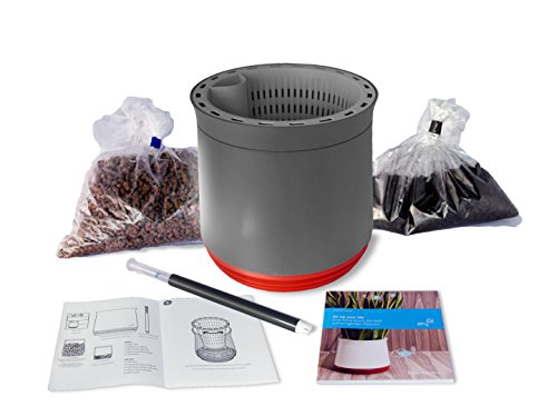 Airy Pot - innovadora Maceta purificadora de Aire 100% eficaz - Purificador de Aire Natural con Plantas de Interior sin Electricidad ni químicos (Space Blue)