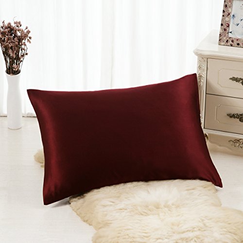 ALASKA BEAR - Funda de Almohada de Seda Natural, hipoalergénico, 19 Momme, 600 Hilos 100% de Seda, tamaño Queen con Cremallera Oculta, 50x75 cm,1 Unidad, borgoña