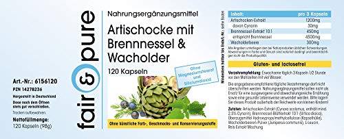 Alcachofa en Cápsulas - Extracto de Alcahofa con Ortiga y Enebro - Vegano - 2,5% Cinarina - Alta pureza - 120 Cápsulas