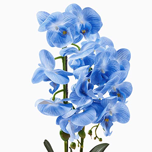 Alicemall Flor Artificial Iris Japonica Thunb Flor Decorativo de la Oficina Casa Decoración Simulación Planta Falsa en Maceta 15x15x50 cm (Azul)