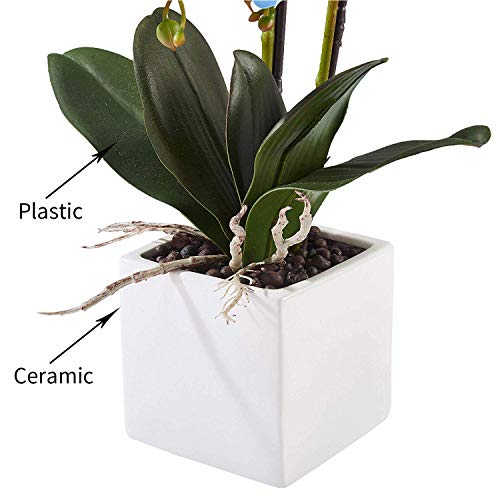 Alicemall Flor Artificial Iris Japonica Thunb Flor Decorativo de la Oficina Casa Decoración Simulación Planta Falsa en Maceta 15x15x50 cm (Azul)