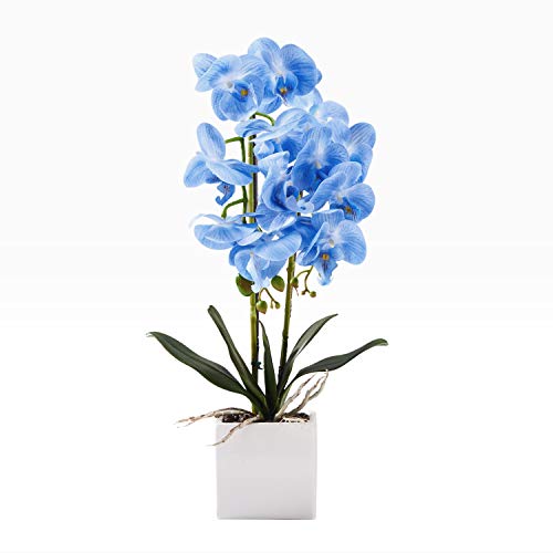 Alicemall Flor Artificial Iris Japonica Thunb Flor Decorativo de la Oficina Casa Decoración Simulación Planta Falsa en Maceta 15x15x50 cm (Azul)