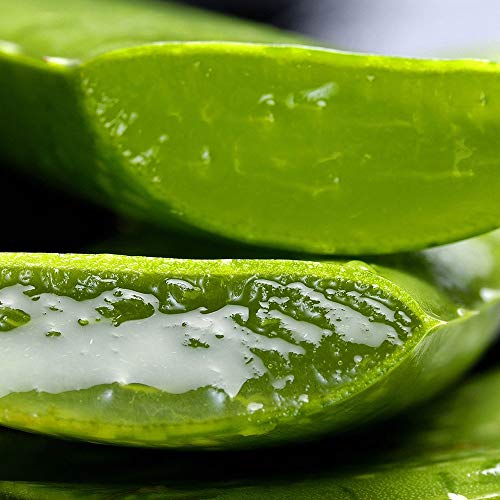Aloe Vera - Cremas faciales y corporales, jabones de glicerina