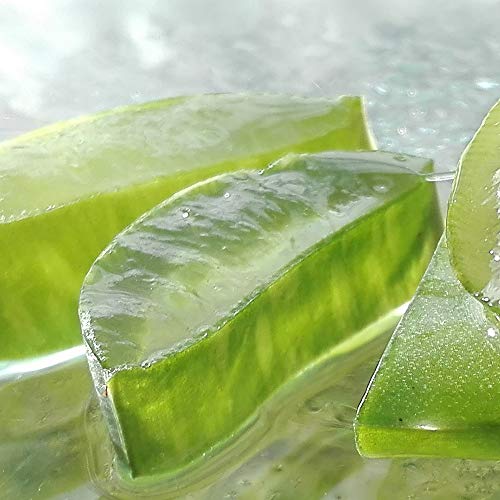 Aloe Vera - Cremas faciales y corporales, jabones de glicerina