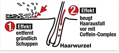 Alpecin 21051 Double Effect Shampoo Against Dandruff & Hair Loss 200 ml