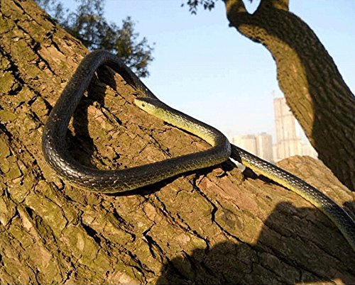 Amasawa Serpientes de Goma,Juguete de jardín de Goma en Forma de Serpiente 130cm Negro,Inicio Jardin Truco Broma de Halloween Prop.