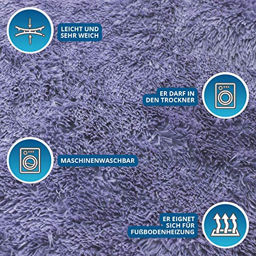 Amazinggirl alfombras Salon Grandes - Pelo Largo Alfombra habitación Dormitorio Lavables Comedor Moderna vivero Negro 160 x 230 cm