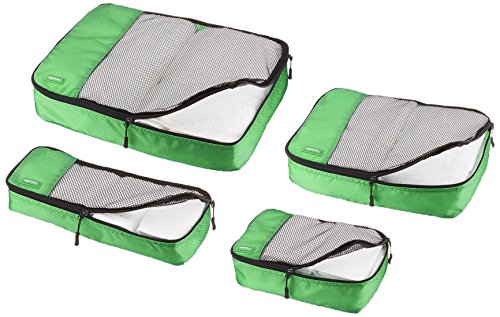 AmazonBasics - Bolsas de equipaje (pequeña, mediana, grande y alargada, 4 unidades), Verde
