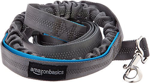 AmazonBasics - Correa para perro, elástica, asa doble, 1,21 m, color azul