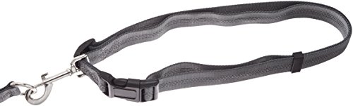 AmazonBasics - Correa para perro, elástica, asa doble, 1,21 m, color azul