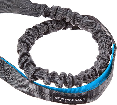 AmazonBasics - Correa para perro, elástica, asa doble, 1,21 m, color azul