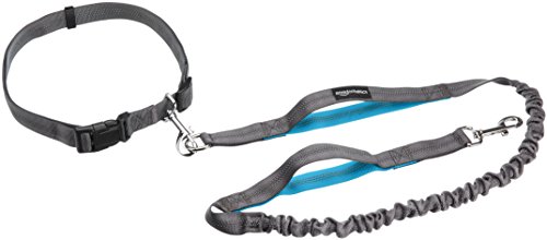 AmazonBasics - Correa para perro, elástica, asa doble, 1,21 m, color azul