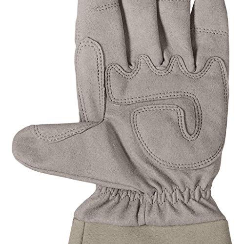 AmazonBasics - Guantes de jardinería, para poda de rosales, protege contra espinas, con protección de antebrazo, color verde, talla XL