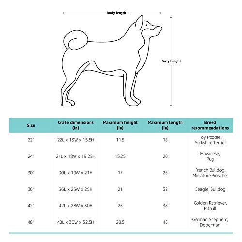 AmazonBasics - Jaula plegable de metal para mascota (una puerta, 107 cm largo)