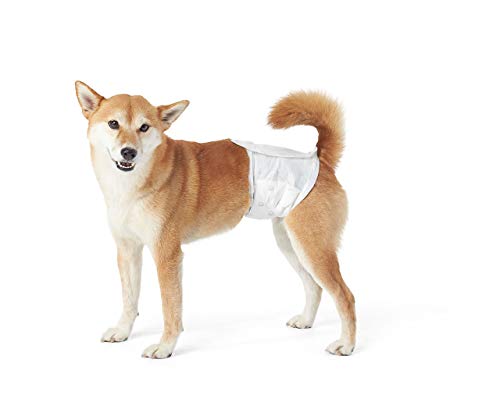 AmazonBasics - Pañal desechable para perro macho, M, paquete de 30 unidades