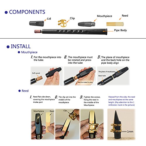 ammoon Mini Bolsillo Bb Saxofón ABS Sax Boquillas con Alto 2pcs Reed Bolsa de Transporte Instrumento de Viento de Madera