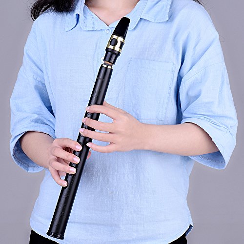 ammoon Mini Bolsillo Bb Saxofón ABS Sax Boquillas con Alto 2pcs Reed Bolsa de Transporte Instrumento de Viento de Madera