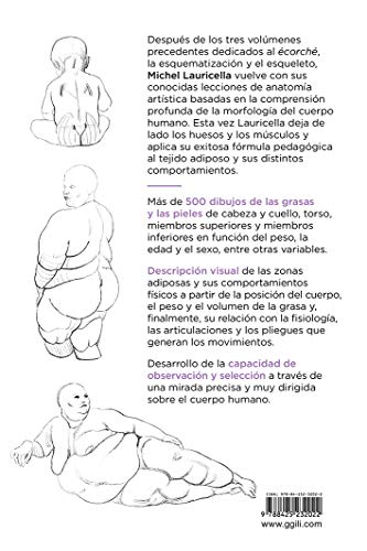Anatomía artística 4. Grasas y Pliegues De La Piel