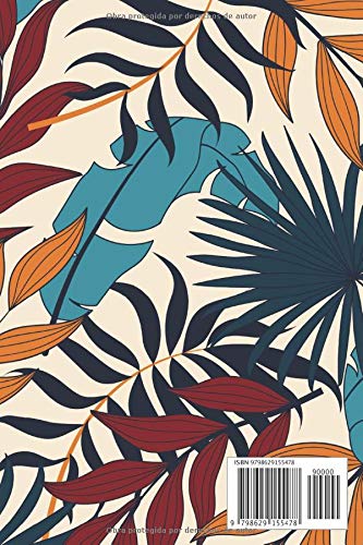 Andorra: Cuaderno de diario de viaje gobernado o diario de viaje: bolsillo de viaje forrado para hombres y mujeres con líneas