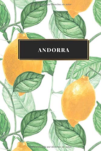 Andorra: Cuaderno de diario de viaje gobernado o diario de viaje: bolsillo de viaje forrado para hombres y mujeres con líneas